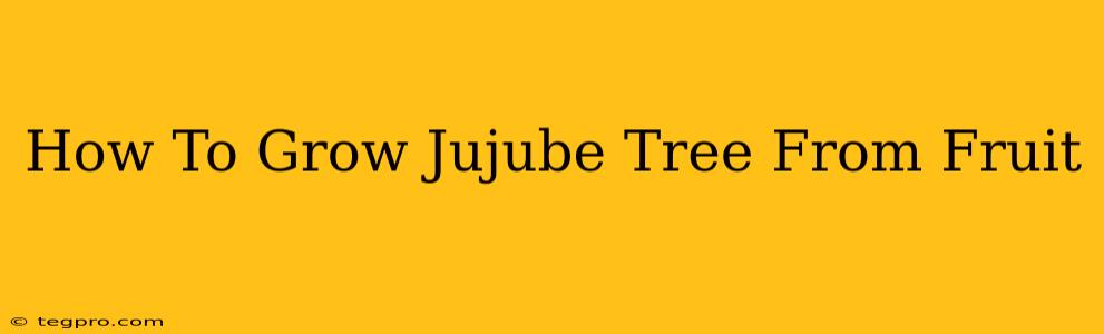 How To Grow Jujube Tree From Fruit