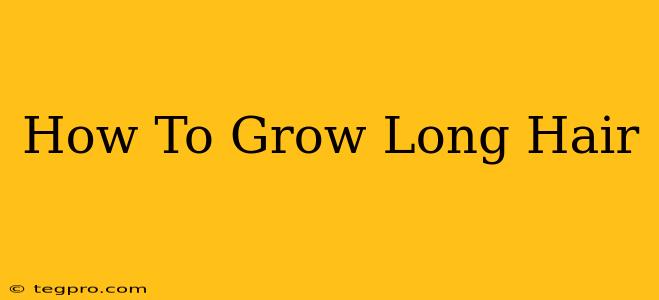 How To Grow Long Hair