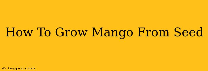 How To Grow Mango From Seed