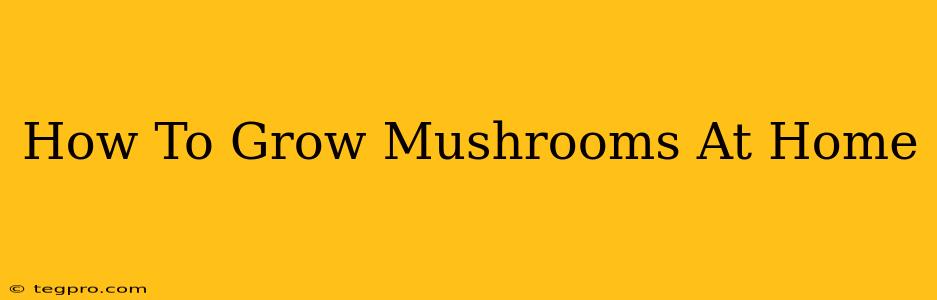 How To Grow Mushrooms At Home