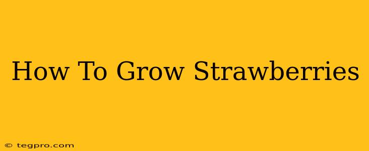 How To Grow Strawberries