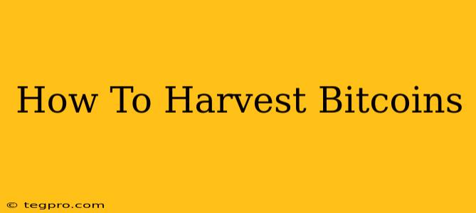 How To Harvest Bitcoins