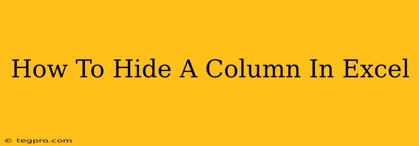 How To Hide A Column In Excel