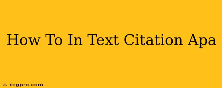 How To In Text Citation Apa