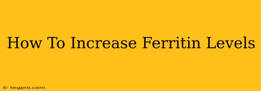 How To Increase Ferritin Levels