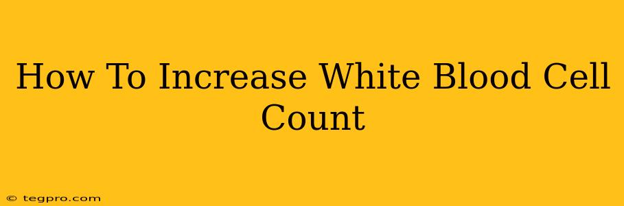 How To Increase White Blood Cell Count