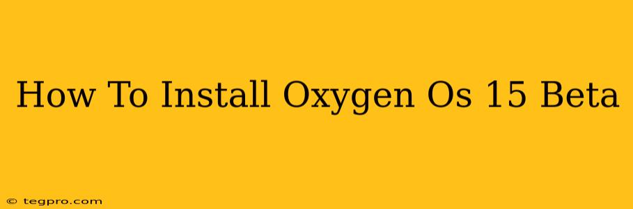 How To Install Oxygen Os 15 Beta