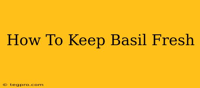 How To Keep Basil Fresh