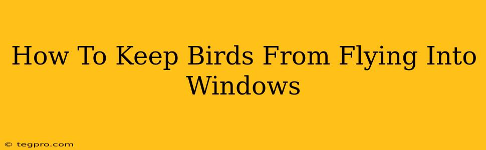 How To Keep Birds From Flying Into Windows