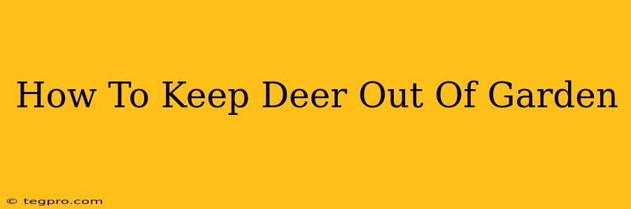 How To Keep Deer Out Of Garden