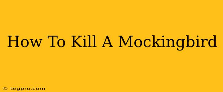 How To Kill A Mockingbird