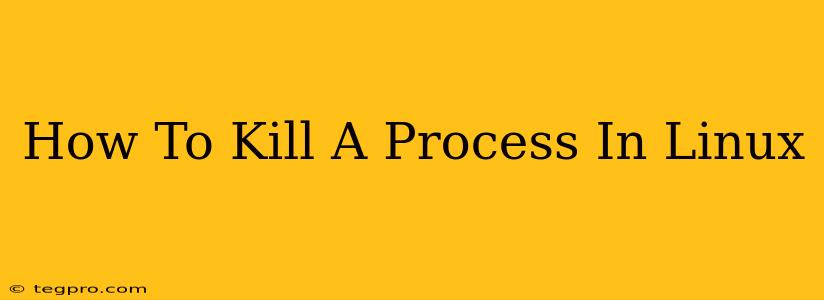 How To Kill A Process In Linux