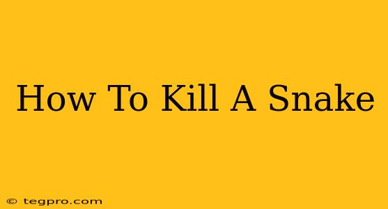 How To Kill A Snake