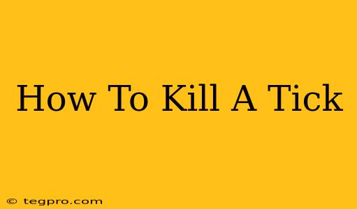 How To Kill A Tick