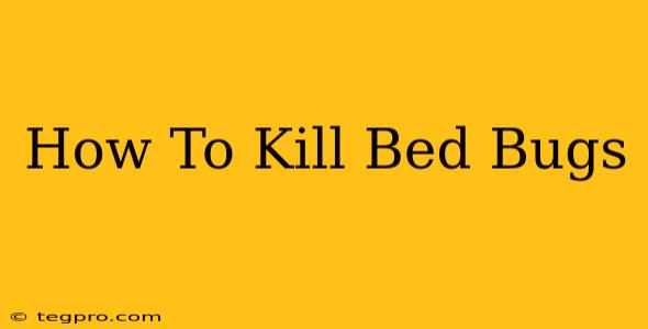 How To Kill Bed Bugs