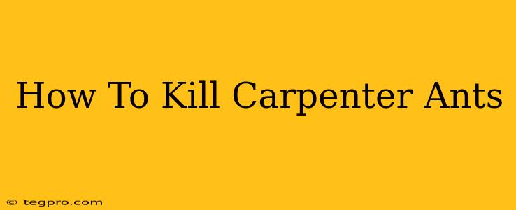 How To Kill Carpenter Ants