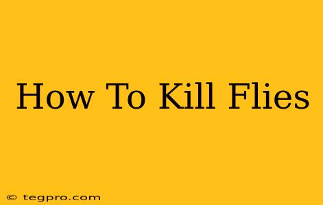 How To Kill Flies