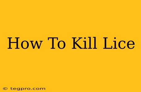 How To Kill Lice