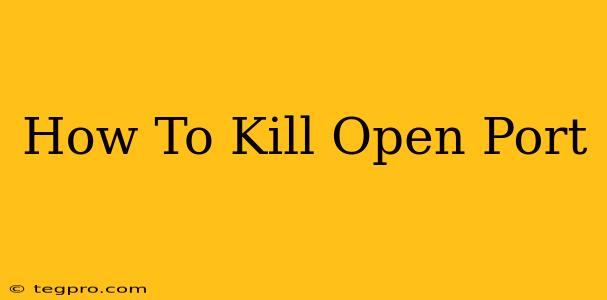 How To Kill Open Port