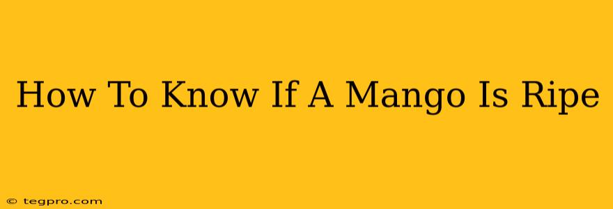 How To Know If A Mango Is Ripe