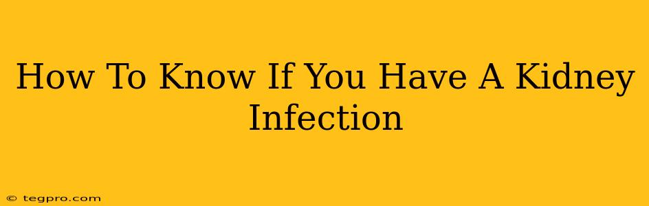 How To Know If You Have A Kidney Infection