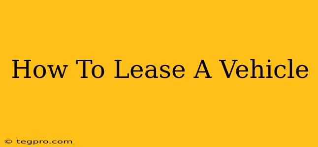 How To Lease A Vehicle