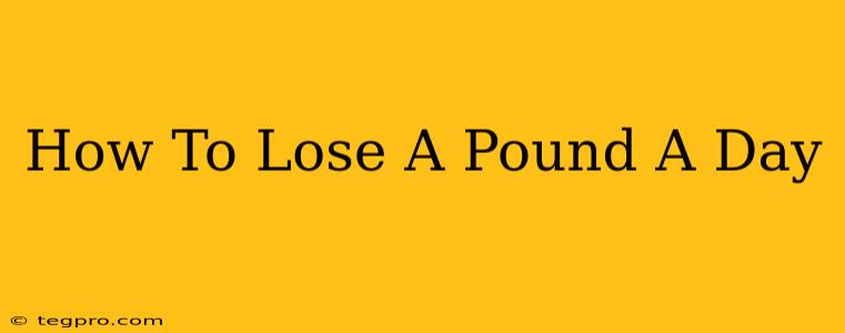 How To Lose A Pound A Day