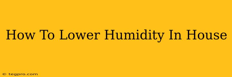 How To Lower Humidity In House