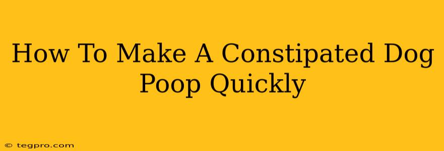 How To Make A Constipated Dog Poop Quickly