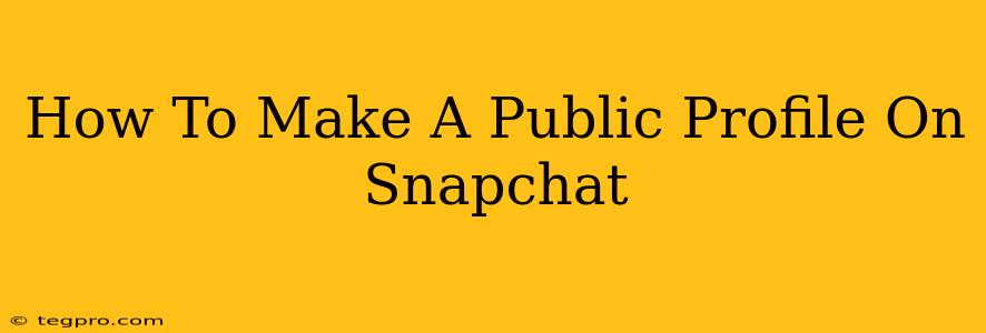 How To Make A Public Profile On Snapchat