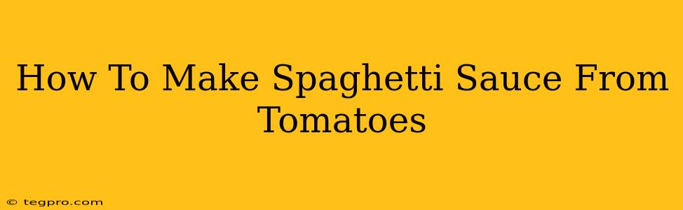 How To Make Spaghetti Sauce From Tomatoes