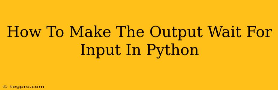 How To Make The Output Wait For Input In Python