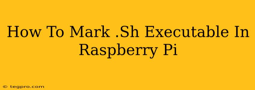 How To Mark .Sh Executable In Raspberry Pi