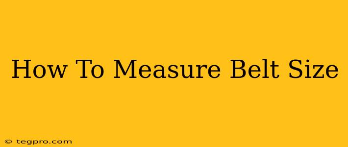 How To Measure Belt Size