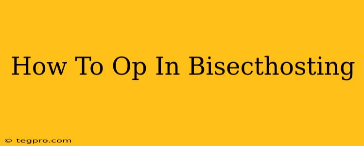 How To Op In Bisecthosting