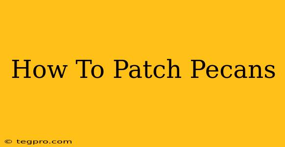 How To Patch Pecans