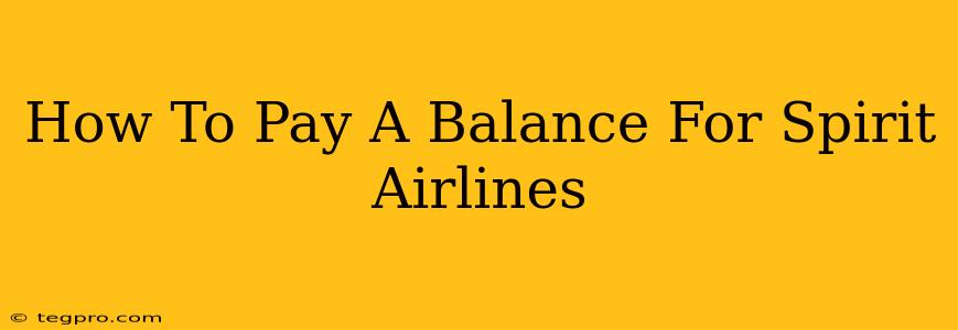 How To Pay A Balance For Spirit Airlines