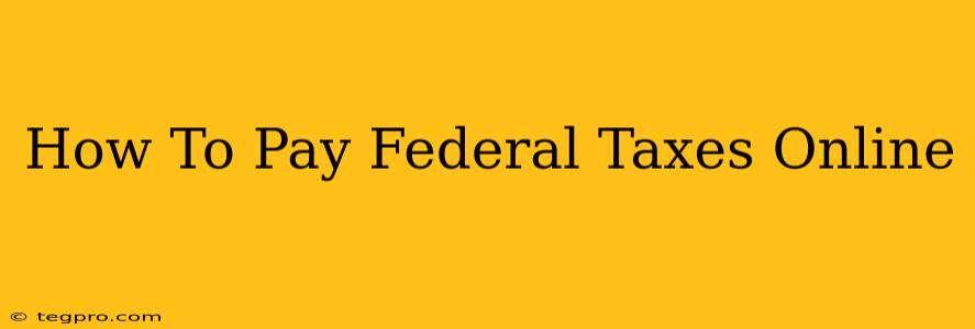 How To Pay Federal Taxes Online