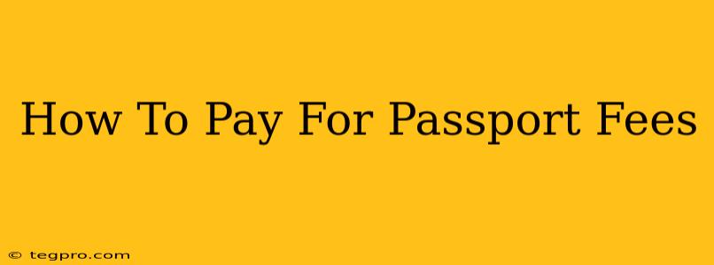 How To Pay For Passport Fees