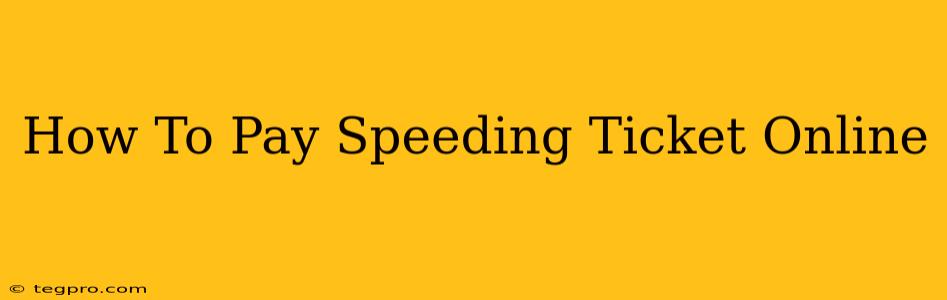 How To Pay Speeding Ticket Online