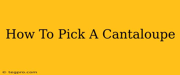 How To Pick A Cantaloupe