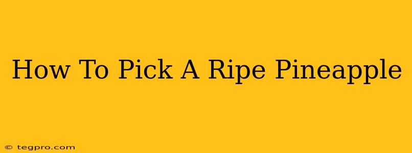 How To Pick A Ripe Pineapple