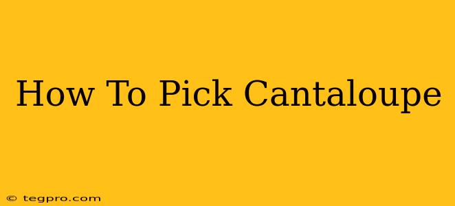 How To Pick Cantaloupe