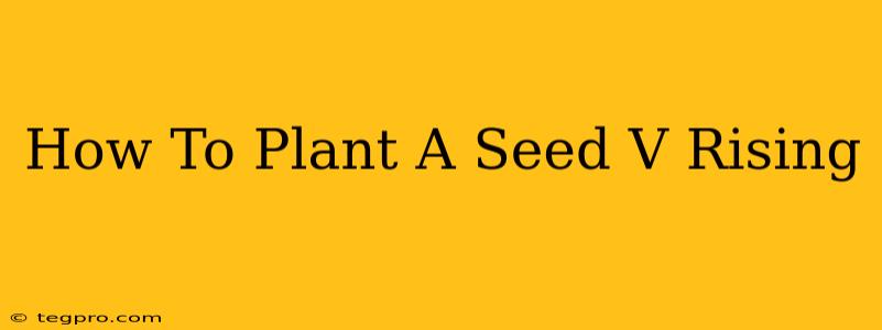 How To Plant A Seed V Rising