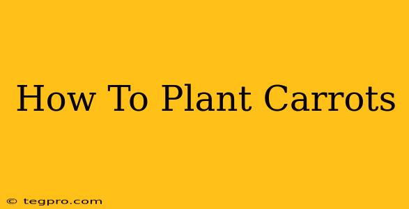 How To Plant Carrots