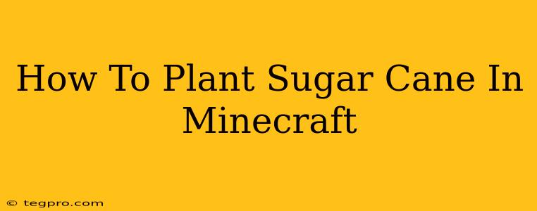 How To Plant Sugar Cane In Minecraft