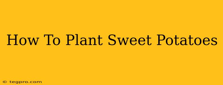 How To Plant Sweet Potatoes