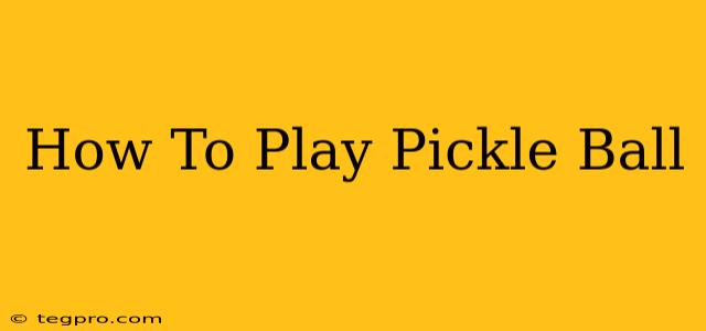 How To Play Pickle Ball