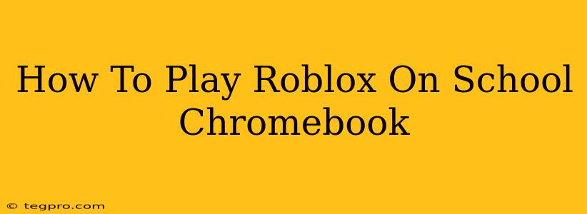 How To Play Roblox On School Chromebook