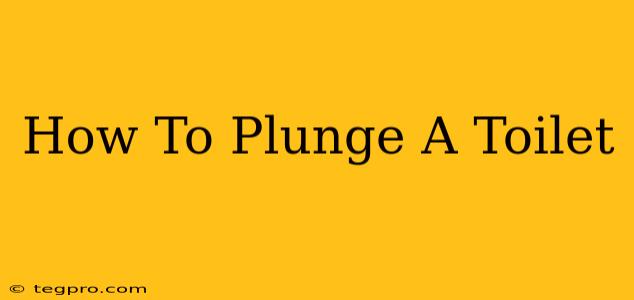 How To Plunge A Toilet